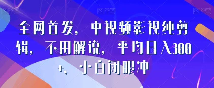 全网首发，中视频影视纯剪辑，不用解说，平均日入300+，小白闭眼冲-天韵资源网