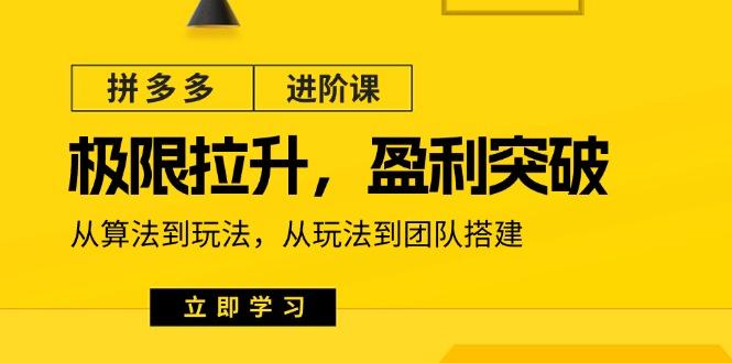 拼多多·进阶课：极限拉升/盈利突破：从算法到玩法 从玩法到团队搭建-18节-天韵资源网
