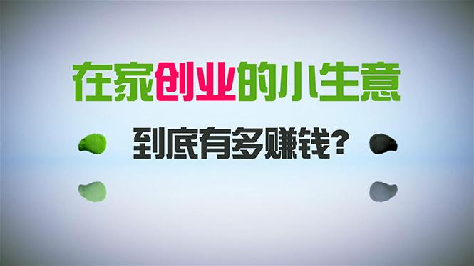 在家创业，日引300+创业粉，一年收入30万，闷声发财的小生意，比打工强-天韵资源网