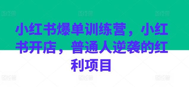 小红书爆单训练营，小红书开店，普通人逆袭的红利项目-天韵资源网