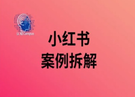 小红书案例拆解，深度解读小红书40万粉-天韵资源网