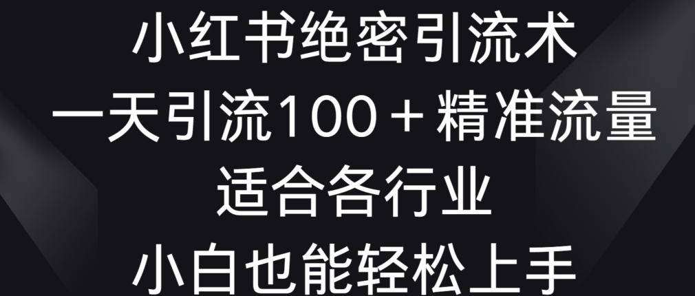 小红书绝密引流术，一天引流100+精准流量，适合各个行业，小白也能轻松上手【揭秘】-天韵资源网