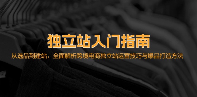 独立站入门指南：从选品到建站，全面解析跨境电商独立站运营技巧与爆品…-天韵资源网