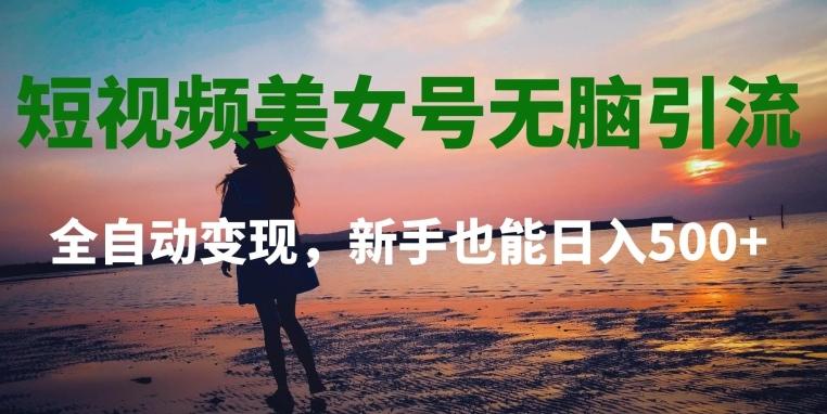 短视频美女号无脑引流，全自动变现，新手也能日入500+-天韵资源网