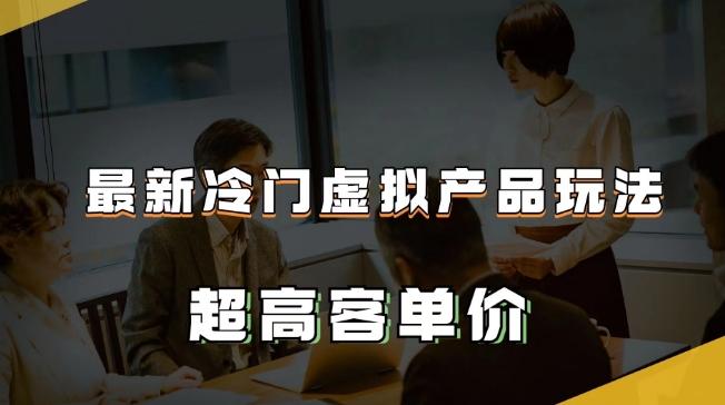 最新冷门虚拟产品玩法，超高客单价，月入2-3万＋【揭秘】-天韵资源网