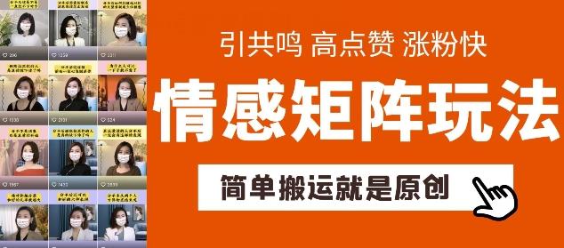 简单搬运，情感矩阵玩法，涨粉速度快，可带货，可起号【揭秘】-天韵资源网
