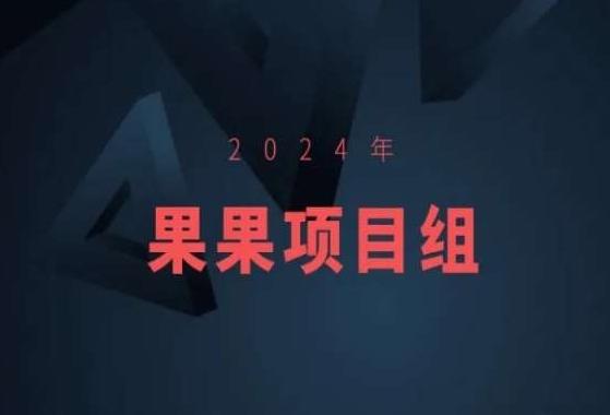 2024年果果项目组项目合集-果果最新项目-天韵资源网