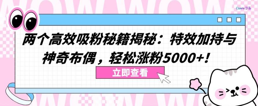 两个高效吸粉秘籍揭秘：特效加持与神奇布偶，轻松涨粉5000+【揭秘】-天韵资源网