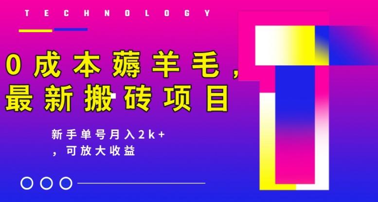 0成本薅羊毛，最新搬砖项目，新手单号月入2k+，可放大操作-天韵资源网
