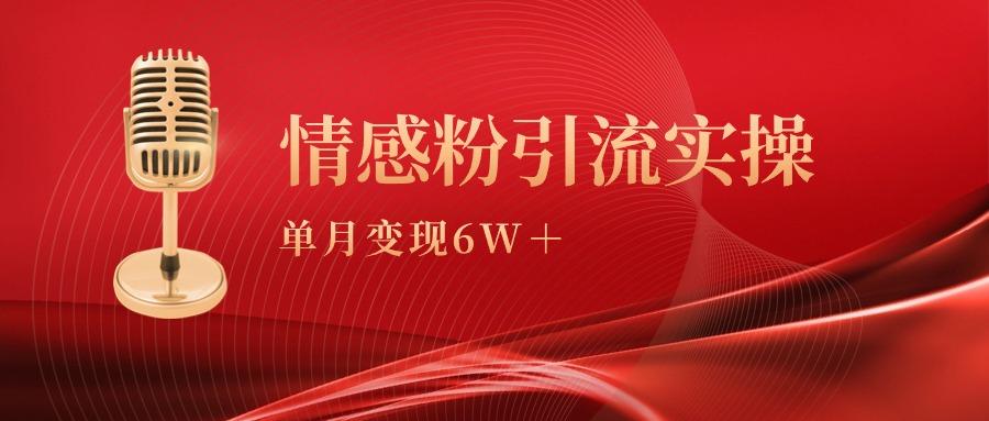 (9473期)单月变现6w+，情感粉引流变现实操课-天韵资源网