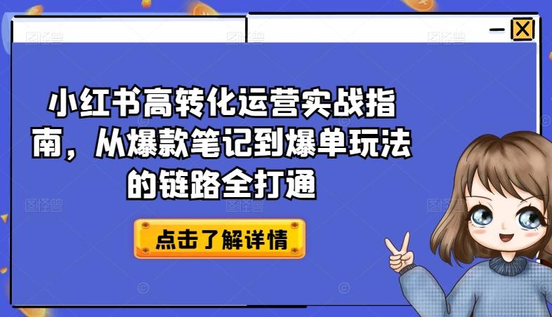 小红书高转化运营实战指南，从爆款笔记到爆单玩法的链路全打通-天韵资源网