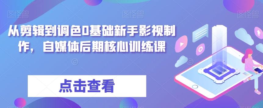 从剪辑到调色0基础新手影视制作，自媒体后期核心训练课-天韵资源网