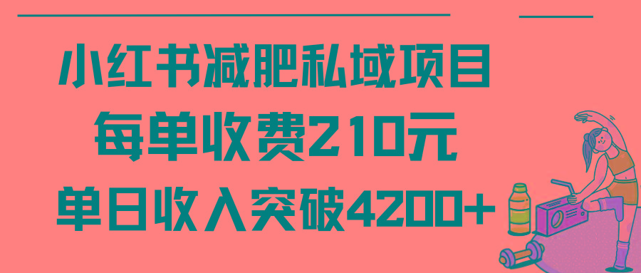 (9466期)小红书减肥私域项目每单收费210元单日成交20单，最高日入4200+-天韵资源网