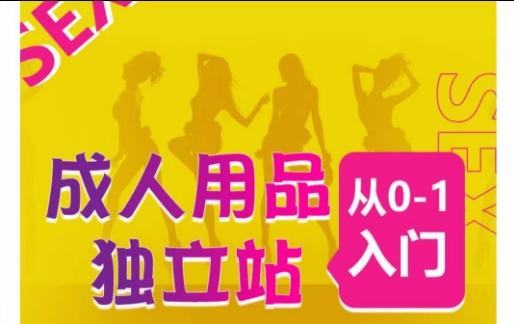 成人用品独立站从0-1入门，成品独立站运营全流程教学，七大好卖成品独立站推荐-天韵资源网