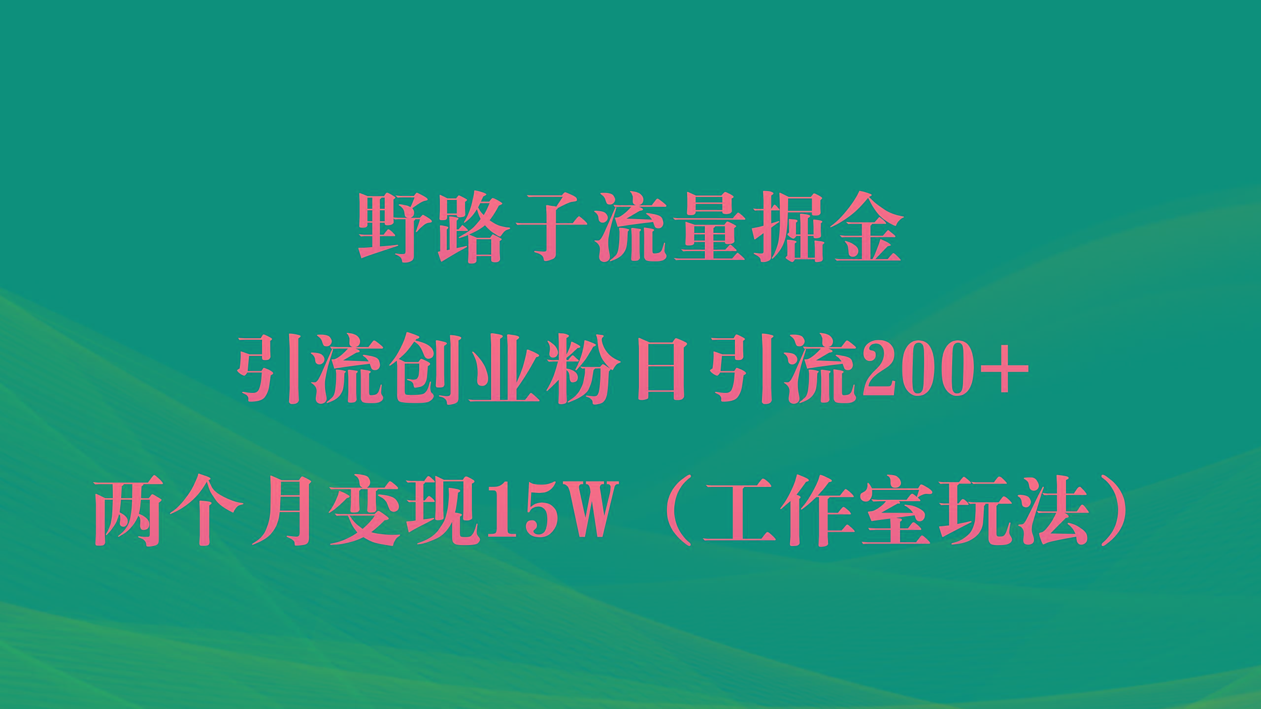 (9513期)野路子流量掘金，引流创业粉日引流200+，两个月变现15W(工作室玩法))-天韵资源网