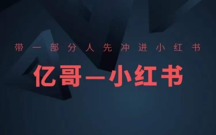 ​​带一部分人先冲进小红书，小红书开店、选品、爆款裂变-天韵资源网