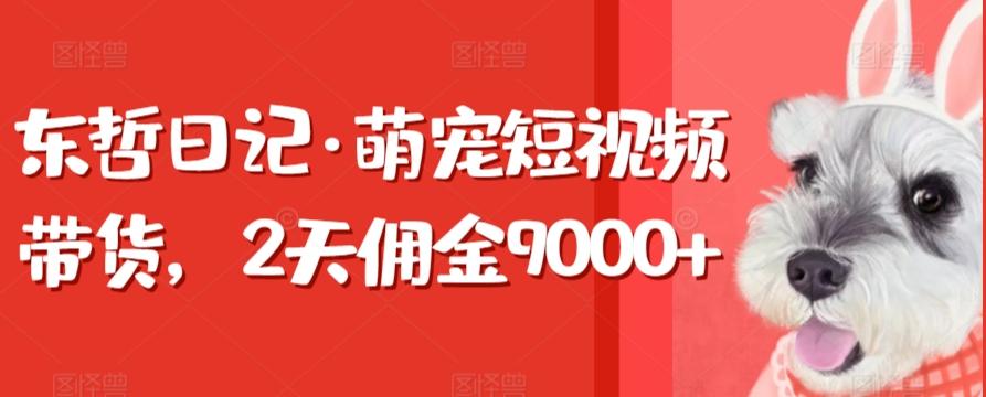 东哲日记·萌宠短视频带货，2天佣金9000+-天韵资源网