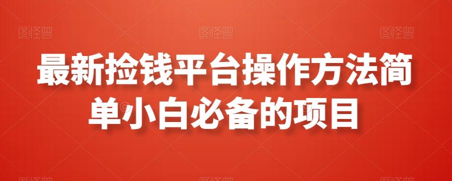 最新捡钱平台操作方法简单小白必备的项目-天韵资源网