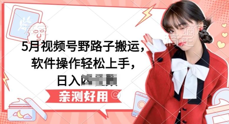 5月视频号野路子搬运，软件操作轻松上手，日入三位数【揭秘】-天韵资源网