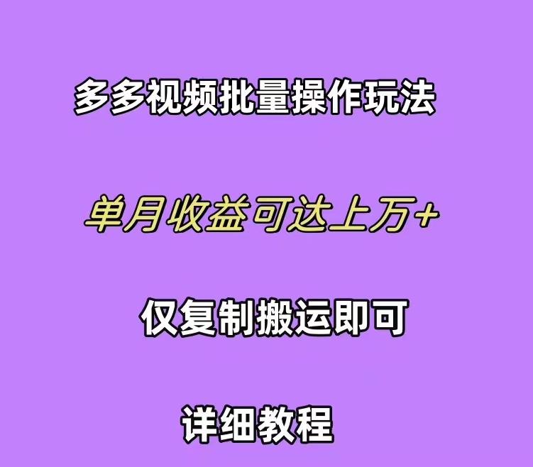 (10029期)拼多多视频带货快速过爆款选品教程 每天轻轻松松赚取三位数佣金 小白必…-天韵资源网