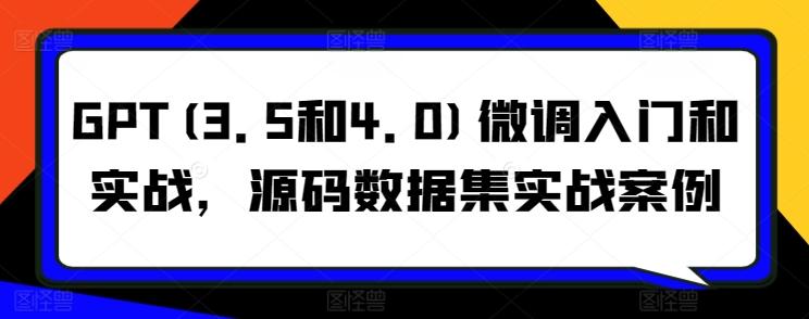 GPT(3.5和4.0)微调入门和实战，源码数据集实战案例-天韵资源网
