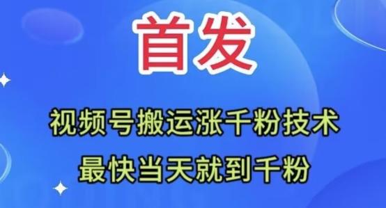 全网首发：视频号无脑搬运涨千粉技术，最快当天到千粉【揭秘】-天韵资源网