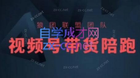 狼团联盟·2024视频号带货-天韵资源网