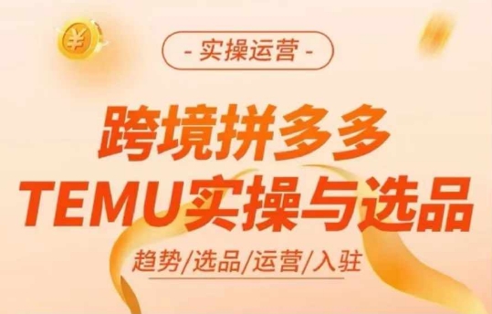 跨境拼多多TEMU实操与选品，多多temu跨境选品运营实操-天韵资源网
