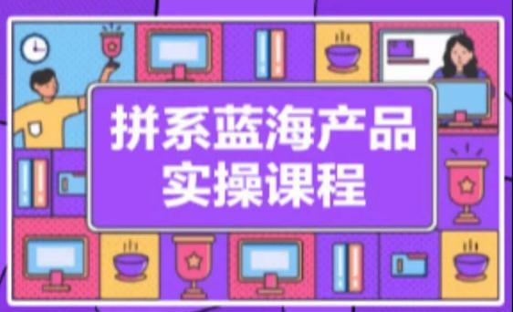 拼系冷门蓝海产品实操课程，从注册店铺到选品上架到流量维护环环相扣-天韵资源网