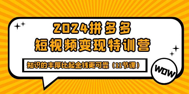 (9817期)2024拼多多短视频变现特训营，知识的丰厚比起金钱更可靠(11节课)-天韵资源网