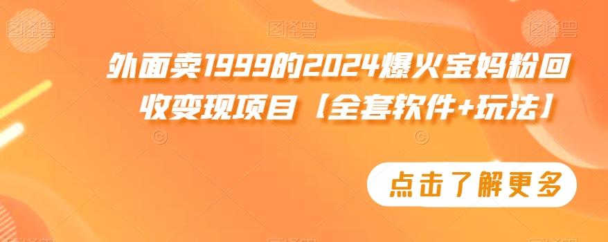 外面卖1999的2024爆火宝妈粉回收变现项目【全套软件+玩法】【揭秘】-天韵资源网