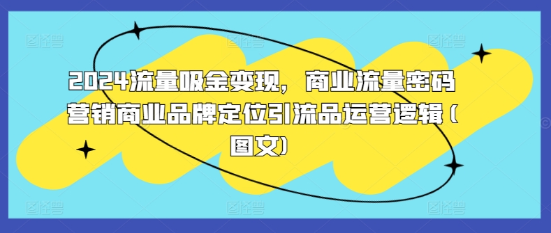 2024流量吸金变现，商业流量密码营销商业品牌定位引流品运营逻辑(图文)-天韵资源网