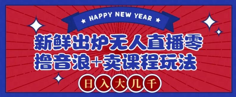 2024最新无人直播零撸音浪+卖课程玩法，日入大几千不是梦【揭秘】-天韵资源网