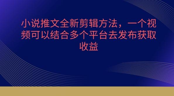 小说推文全新剪辑方法，一个视频可以结合多个平台去发布获取【揭秘】-天韵资源网