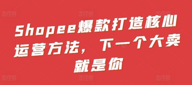 Shopee爆款打造核心运营方法，下一个大卖就是你-天韵资源网