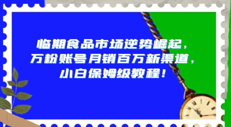 临期食品市场逆势崛起，万粉账号月销百万新渠道，小白保姆级教程【揭秘】-天韵资源网