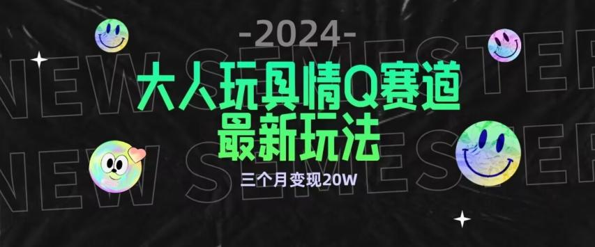 全新大人玩具情Q赛道合规新玩法，公转私域不封号流量多渠道变现，三个月变现20W【揭秘】-天韵资源网