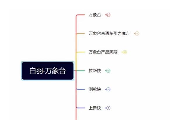 白羽·直引万搜索全篇，从0-1，多个类目实操经验总结付费-天韵资源网