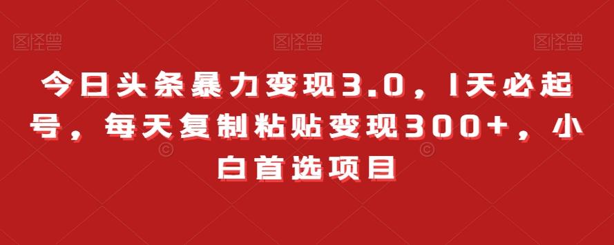 今日头条暴力变现3.0，1天必起号，每天复制粘贴变现300+，小白首选项目-天韵资源网