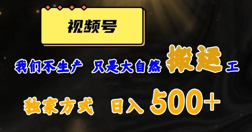 视频号轻松搬运日赚500+，一个1分钟1条原创视频【揭秘】-天韵资源网