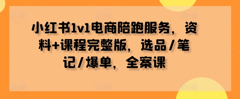 小红书1v1电商陪跑服务，资料+课程完整版，选品/笔记/爆单，全案课-天韵资源网
