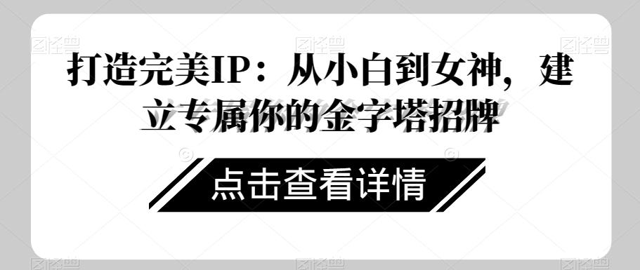 打造完美IP：从小白到女神，建立专属你的金字塔招牌-天韵资源网
