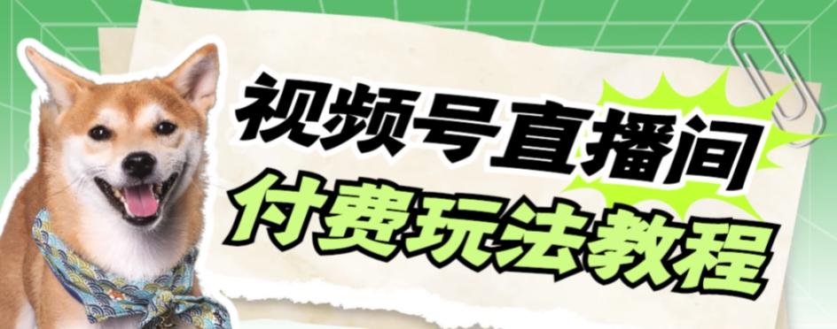 视频号美女付费无人直播，轻松日入500+【详细玩法教程】-天韵资源网