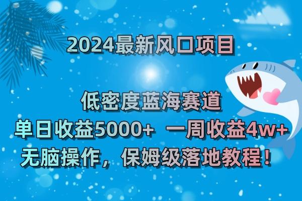 (8545期)2024最新风口项目 低密度蓝海赛道，日收益5000+周收益4w+ 无脑操作，保…-天韵资源网