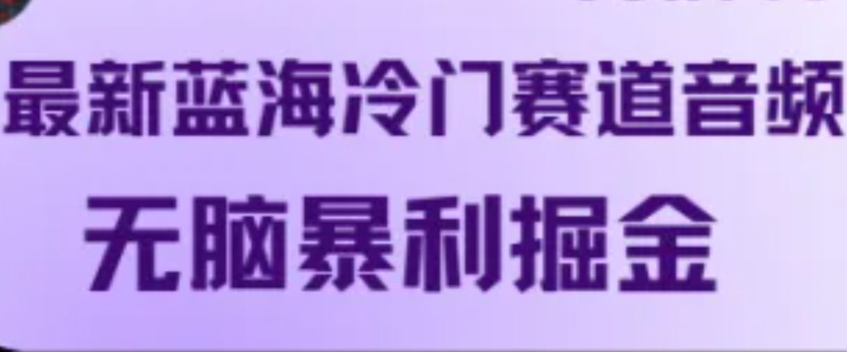 最新蓝海冷门赛道音频，无脑暴利掘金-天韵资源网