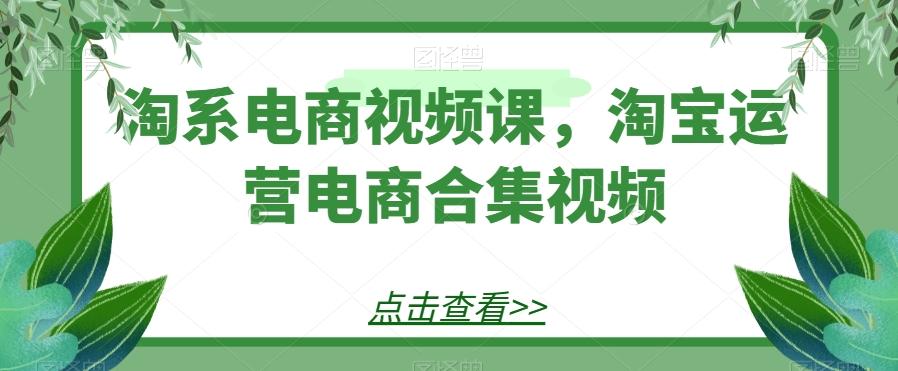 淘系电商视频课，淘宝运营电商合集视频-天韵资源网