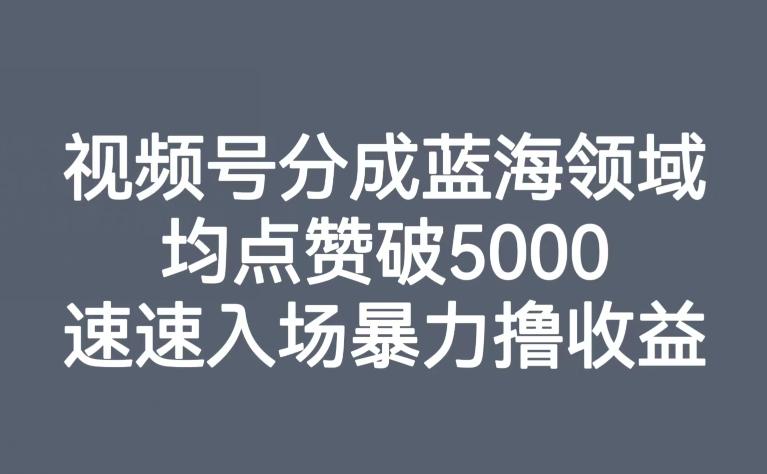 视频号分成蓝海领域，均点赞破5000，速速入场暴力撸收益-天韵资源网