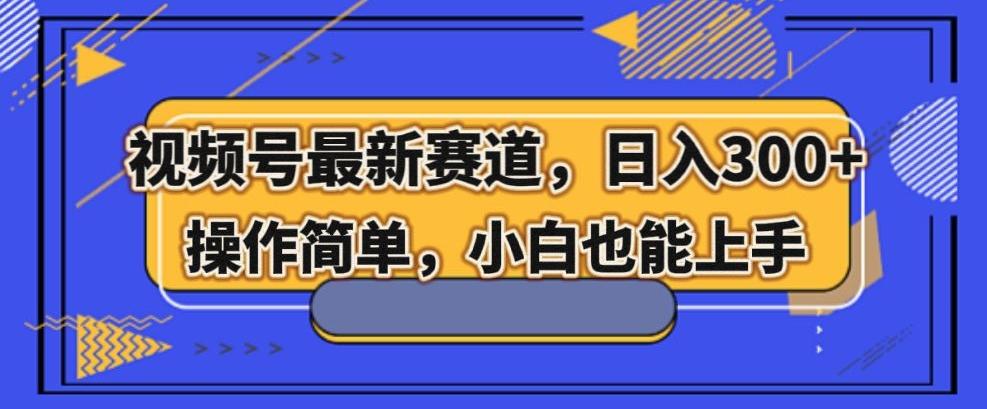 视频号最新赛道，日入300+，新手小白轻松掌握-天韵资源网