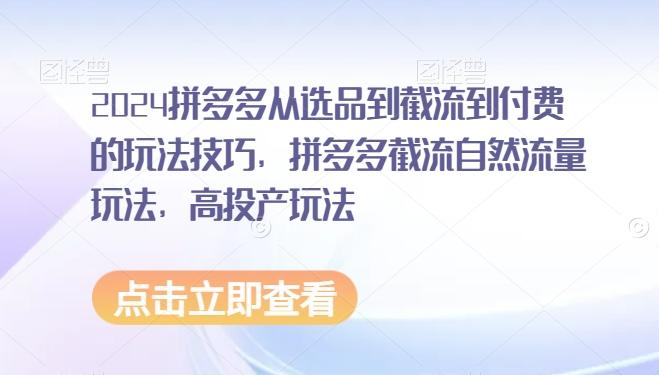 2024拼多多从选品到截流到付费的玩法技巧，拼多多截流自然流量玩法，高投产玩法-天韵资源网