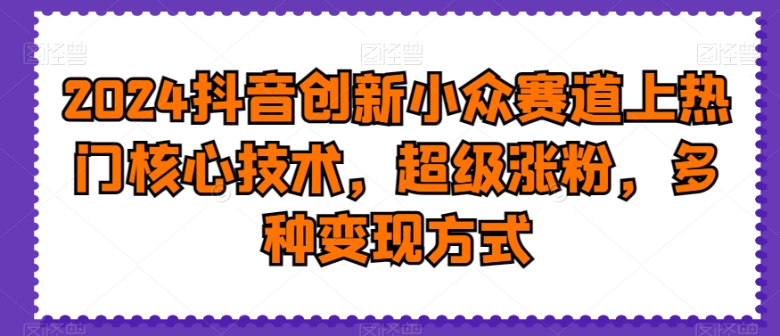 2024抖音创新小众赛道上热门核心技术，超级涨粉，多种变现方式【揭秘】-天韵资源网